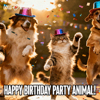 Cat and two dogs doing human-style birthday dance moves in hats gif