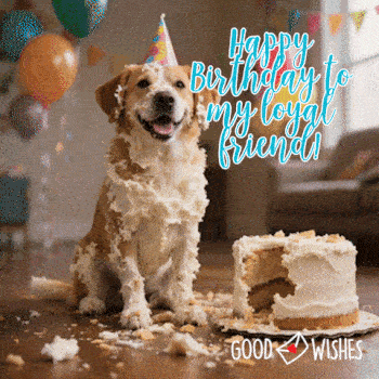 Happy birthday to my loyal friend