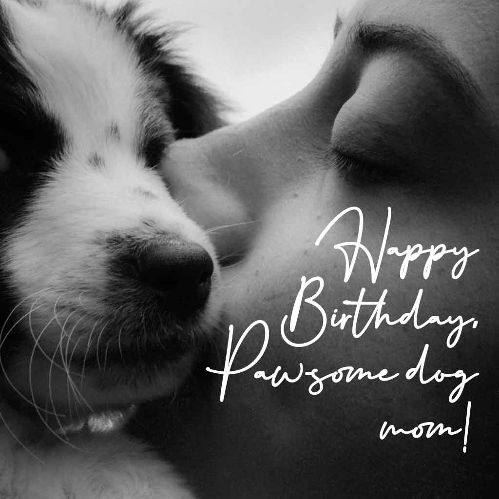 Happy Birthday, paw-some dog mom!