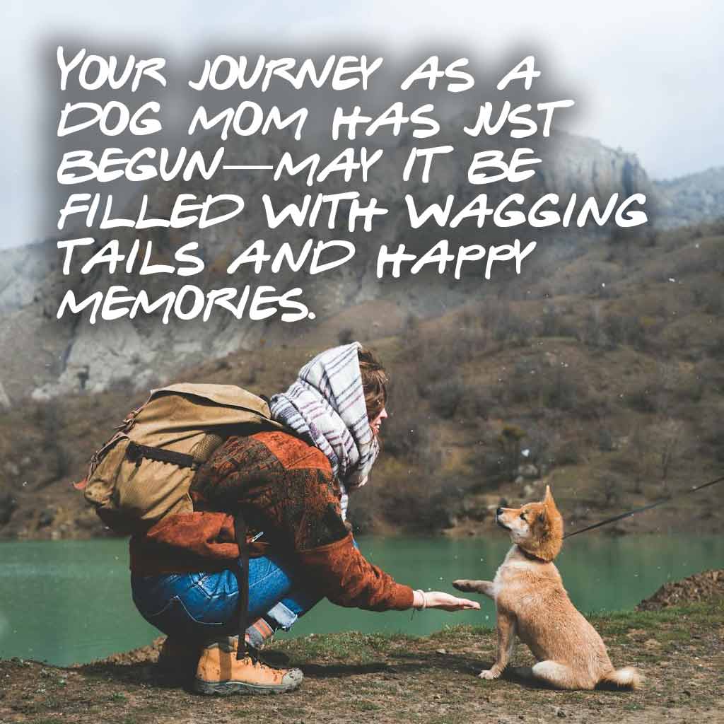 Your journey as a dog mom has just begun—may it be filled with wagging tails and happy memories.