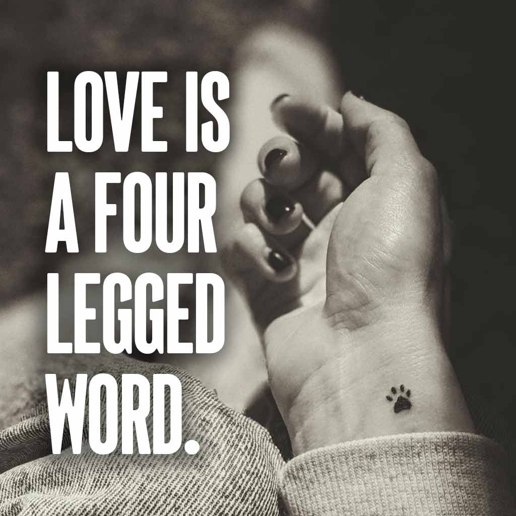 Love is a four-legged word.