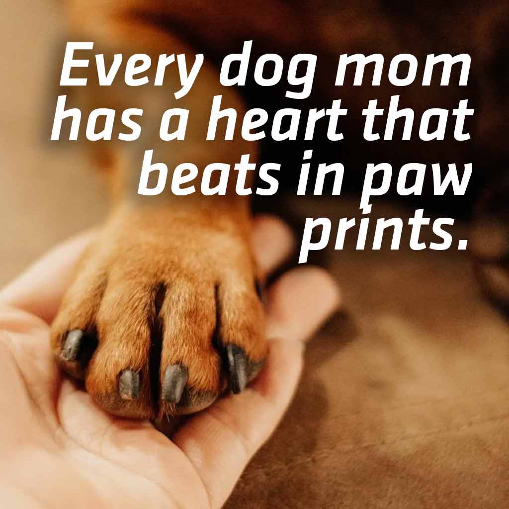 Every dog mom has a heart that beats in paw prints.