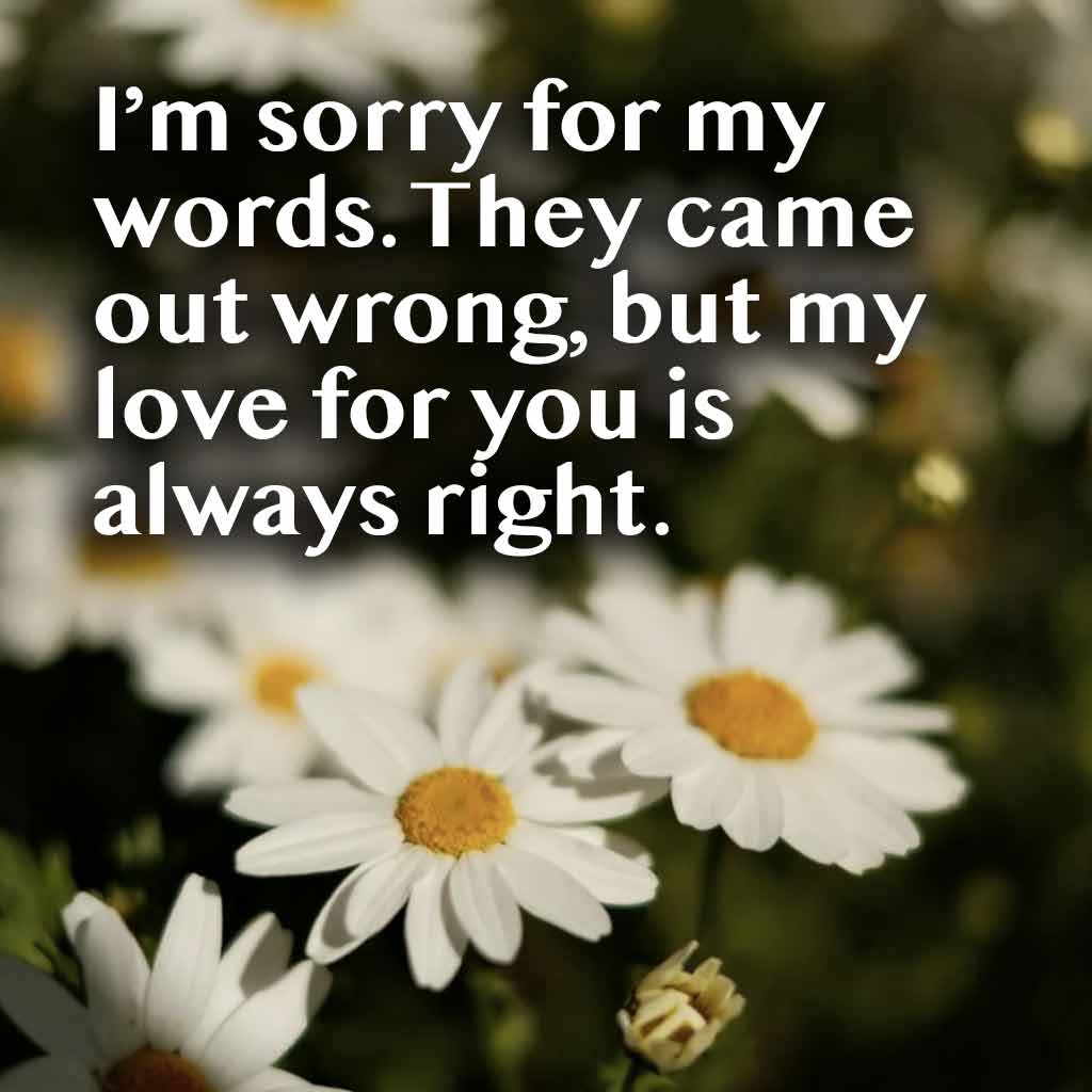 I’m sorry for my words. They came out wrong, but my love for you is always right. 