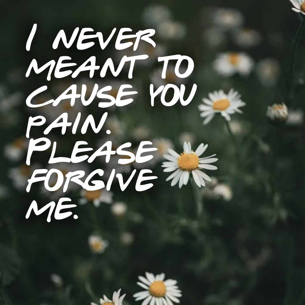 i'm sorry - never wanted to cause pain -forgive me