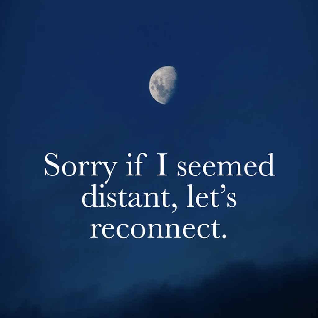 Sorry if I seemed distant—let’s reconnect.