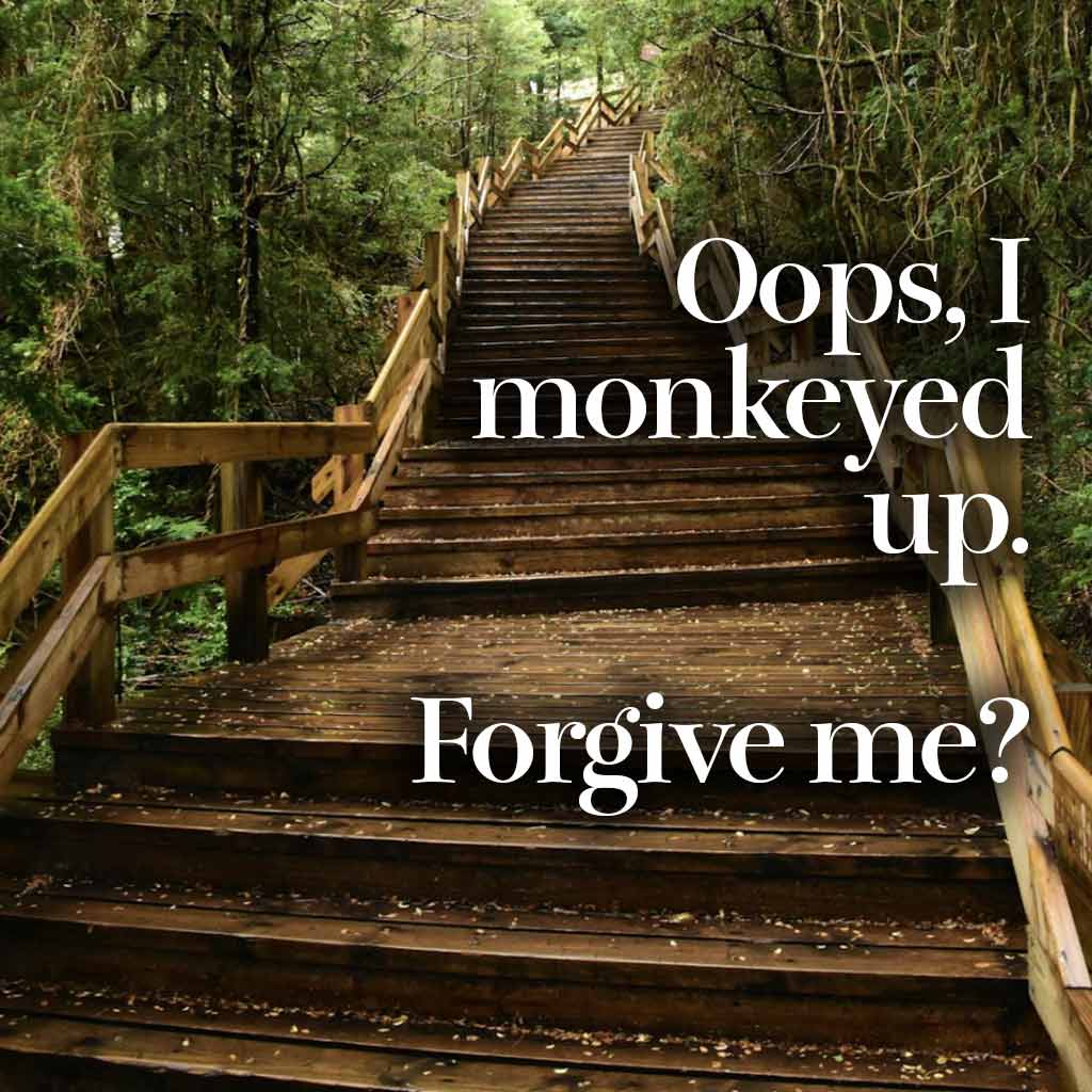 Oops, I monkeyed up. Forgive me?