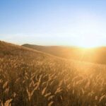 Uplifting Monday Morning Messages to Beat the Blues