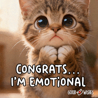 Realistic kitten with big teary eyes looking adorably proud in a congratulations gif