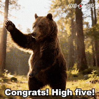 Realistic brown bear lifting its paw for a proud high five congratulations gif