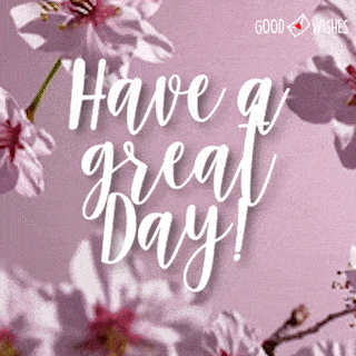 Floating pink flowers for a great day gif