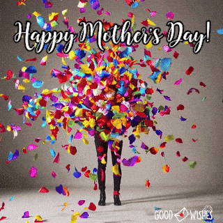 Flower bouquet blowing up into a hilarious cloud of petals in chaos gif