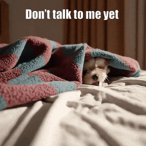 Don't talk to me yet