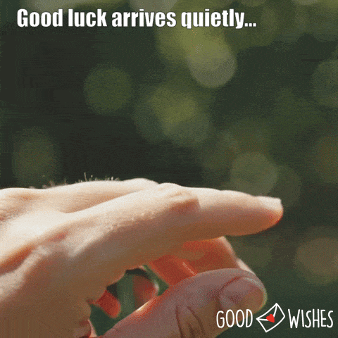 good-luck-arrives-quietly-1 battery fly lands on hand for good luck