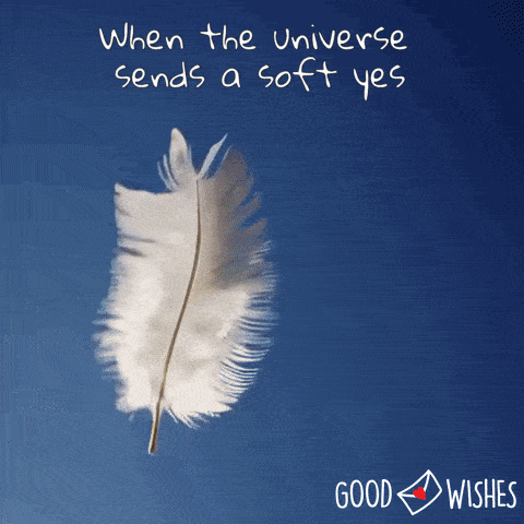 good-luck-feather feather landing - animated good luck gif