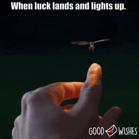 luck-lights-up light insect lights up on finger