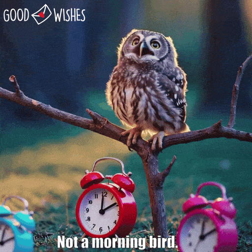 Not a morning bird - owl falling asleep in the morning