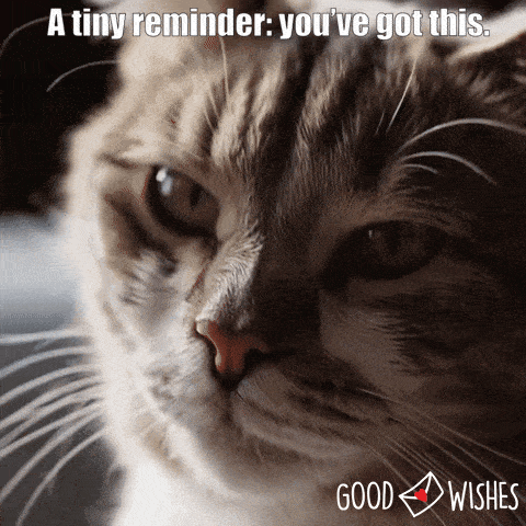 A tiny reminder - you got this - - animated gif