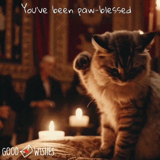 you-have-been-paw-blessed Cat waves paw - animated good luck gif