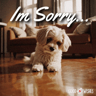 sorry animated gif