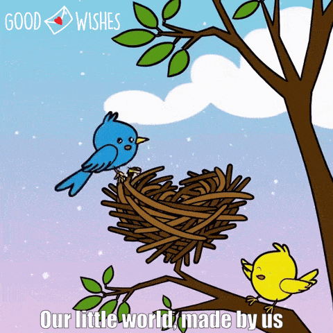 two birds building a nest - animated love gif